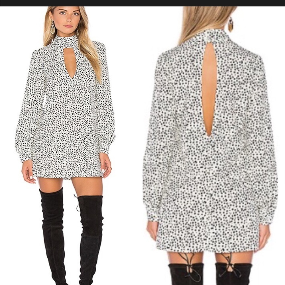 Flynn Skye “Leah” Mini Dress